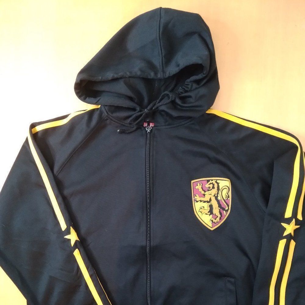 Harry Potter Gryffindor Striped Zipper Hoodie Dri Fit